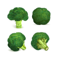 Poster - Broccoli icon set. Realistic set of broccoli vector icons for web design isolated on white background