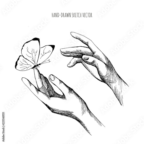 Drawing Hands Releasing Butterfly Let Go Brush The Hand Of Man Fly Freedom Hand Drawn Sketch Vector Stock Vektorgrafik Adobe Stock