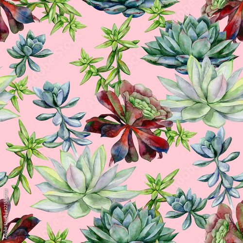 Watercolor succulents seamless pattern, echeveria illustration, botanical pai...