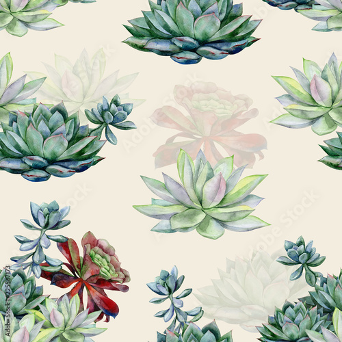 Watercolor succulents seamless pattern, echeveria illustration, botanical pai...