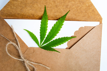 Wall Mural - Marijuana leaf in an envelope