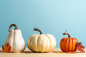 Wall Mural - collection of autumn pumpkins on a blue background