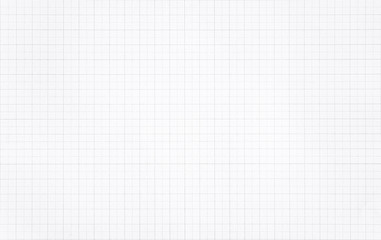 white paper with grid line pattern background.