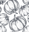 Vector hand drawn sketched pumpkin seamless pattern