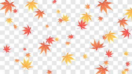 Falling autumn maple leaves Vector illustration. Maple leaves on fake transparent background