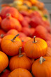 © Olha Sydorenko - A lot of fresh and organic Hokkaido pumpkins on farmers market