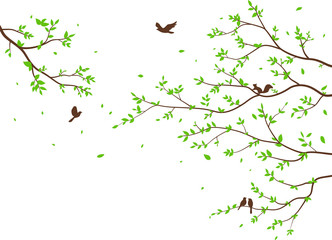 beautiful tree branch with birds silhouette background for wallpaper sticker