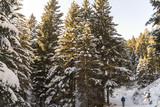 Fototapeta Na ścianę - dolomites in trentino italian place in winter season snow everywhere