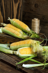 Wall Mural - Fresh sweet corn on cobs on rustic wooden table, close up. Toned. Shallow depth of field.