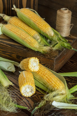 Wall Mural - Fresh sweet corn on cobs on rustic wooden table, close up. Toned. Shallow depth of field.