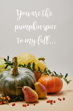 Autumnal Decoration With Pumpkins, Firethorn Berries And Ripe Yummy Pears On Tabletop With YOU ARE PUMPKIN SPICE TO MY FALL Lettering