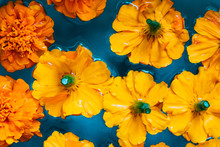 Orange Flowers On Blue Water Background. Flat Lay. Top View