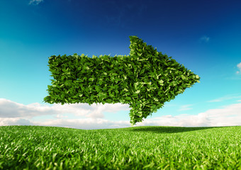Wall Mural - eco friendly development concept. 3d rendering of single arrow icon on fresh spring meadow with blue