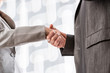 Business handshake closeup