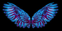 Angel Wings Isolated On Black Background