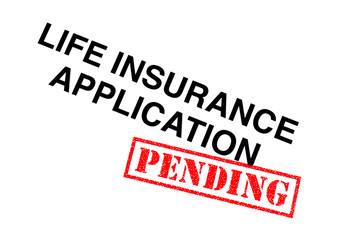 Wall Mural - Life Insurance Application