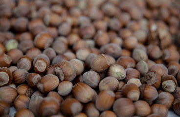 Organic raw hazelnuts