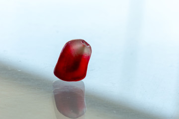 Wall Mural - lonely pomegranate leaf on  white ground