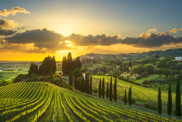 Wall Mural - Casale Marittimo village, vineyards and landscape in Maremma. Tuscany, Italy.