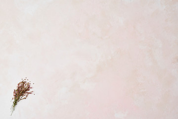 Wall Mural - wild flowers on rose and white texture pattern background with high resolution. copy space.