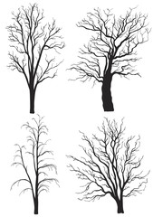 Set of trees without leaves silhouettes isolated on white