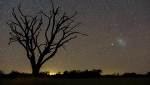Loop Of A Scenic Static Night Timelapse Of A Dead Acacia Tree With The Milky Way Twisting Through A Dark Landscape Scene And The Moon Rises To Light Up The Landscape. Loop 3 Of 4.