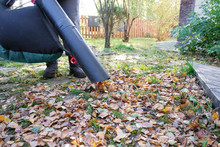 A Woman Cleans The Leaves With A Vacuum Cleaner