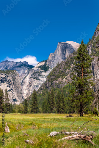 Photo Meadow with view of Half Dome at Yosemite National Park