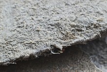 Asbestos Roof Free Stock Photo - Public Domain Pictures
