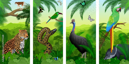 Vector Jungle rainforest vertical baner with parrot green Military Macaw, wild p Tableau sur Toile