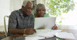 © Mark Adams - Mature African couple reading on their laptop computer