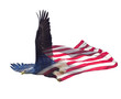 Double exposure  of  bald eagle on american flag.