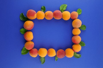 apricots frame of ripe bright orange apricots with leaves on a bright blue background.flat lay. summ