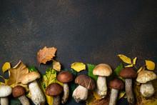Autumn Composition. Mushrooms Boletus And Autumn Leaves Background. Fall Season Mood. Top View, Copy Space