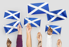 Hands Waving Flags Of Scotland