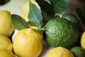 Canvas Print - Fresh organic lime and lemons