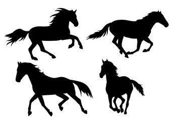 Wall Mural - silhouette horse running, on white background, icon, black, set