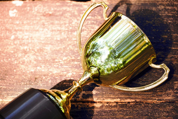 Wall Mural - close up sunlight on trophy on wood table
