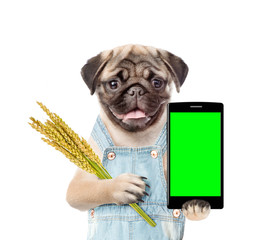 Poster - Smart farming. Dog farmer using modern technologies in agriculture
