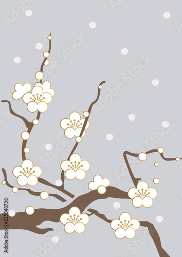 白梅と雪の空 新春の和柄素材 背景素材 梅の花のイメージ Stock Vector Adobe Stock