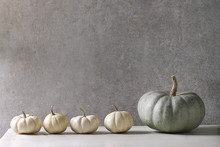 Grey Confection And White Whole Uncooked Decorative Pumpkins In Row On White Marble Table With Grey Wall At Background. Autumn Minimalist Decoration.