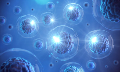 Wall Mural - microscope of human cell in a blue background.