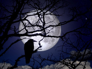 Wall Mural - Raven on branches in a moonlit night