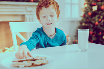 Wall Mural - So sweet. Kind boy keeping smile on his face and looking at tasty cookies