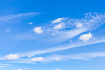 Wall Mural - spindrift and little cumulus clouds in blue sky