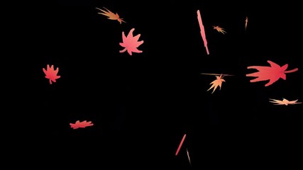 Wall Mural - Autumn maple leaves falling loop with Alpha Channel. Animation footage
