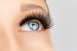 © Olesia - Female eye with extreme long false eyelashes and black liner. Eyelash extensions, make-up, cosmetics, beauty
