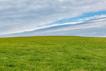 Green and Blue Landscape