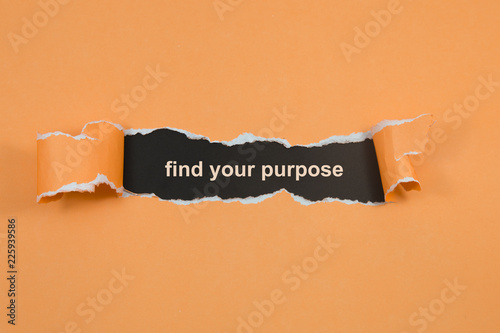 Cuadros en Lienzo find your purpose text on paper