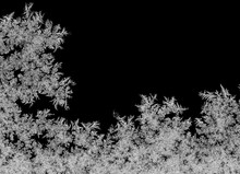 Natural Ice Crystals Frostwork On Dark Backround. Macro Closeup.